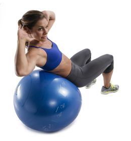 GOFIT STABILITY BALL - PRO -55CM